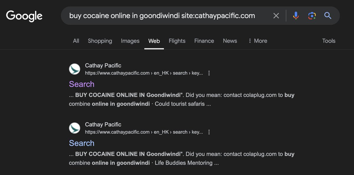 A screenshot of Google search results with Cathy Pacific's search pollution spam